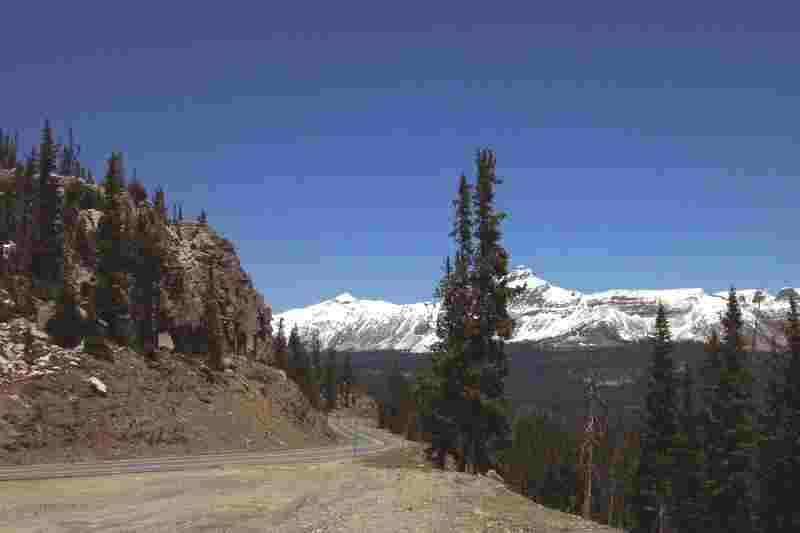 Elizabeth Ridge